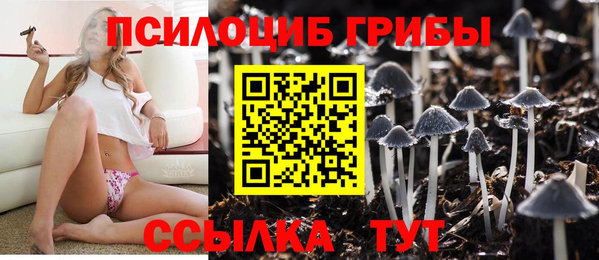 Псилоцибиновые грибы MAGIC MUSHROOMS Калининград