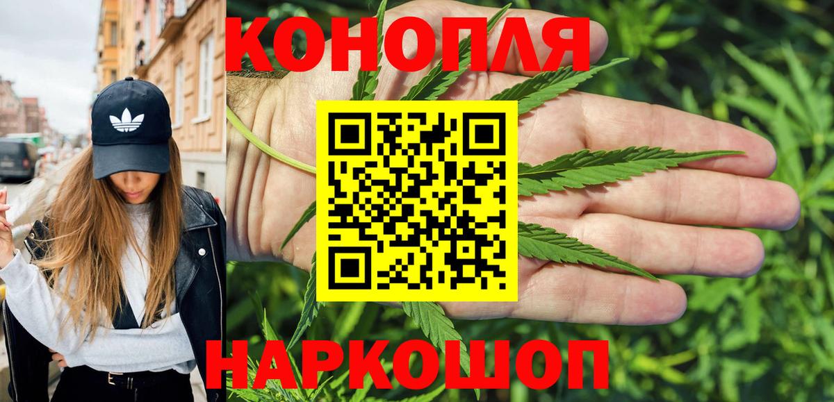 Бошки Шишки SATIVA & INDICA  Бошки Шишки планчик  Вход с VPN  Шишки марихуана Bruce Banner  Калининград  Бошки Шишки сатива 